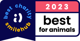 Best Charities for Animals