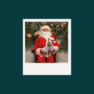 Album: Photos with Santa